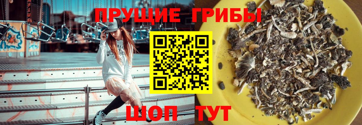 Псилоцибиновые грибы Magic Shrooms Мурманск